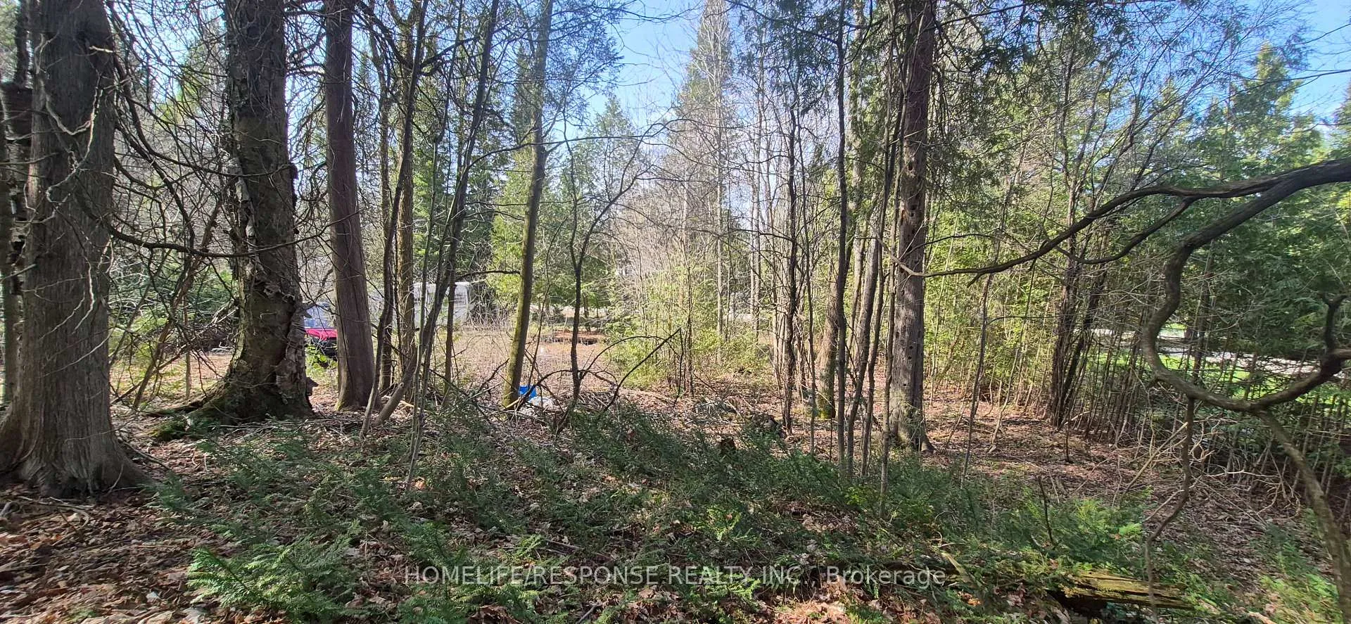 Photo 3 of 48 Waldweg, Scugog, Rural Scugog — HOMEH