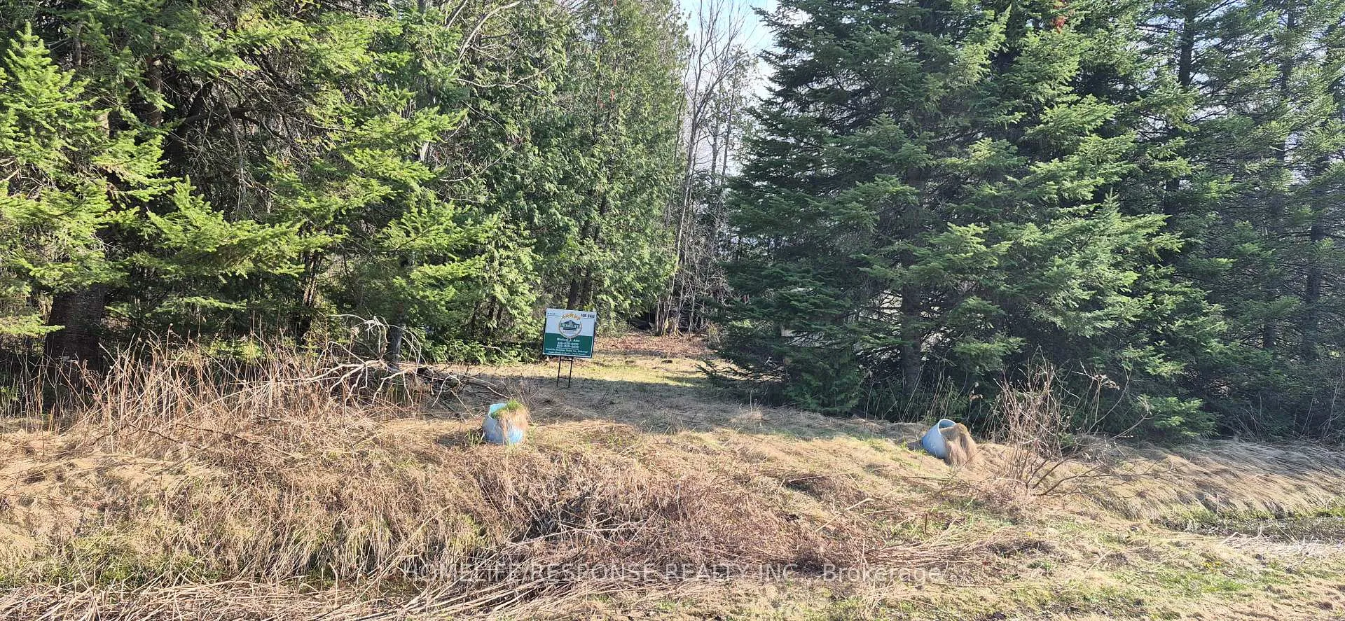 Photo 4 of 48 Waldweg, Scugog, Rural Scugog — HOMEH