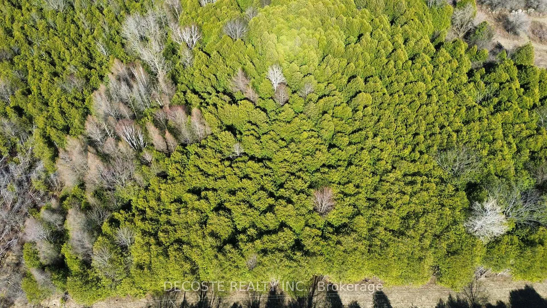 Photo 11 of Auld McMillan Road, North Glengarry, North Glengarry (Kenyon) Twp — HOMEH