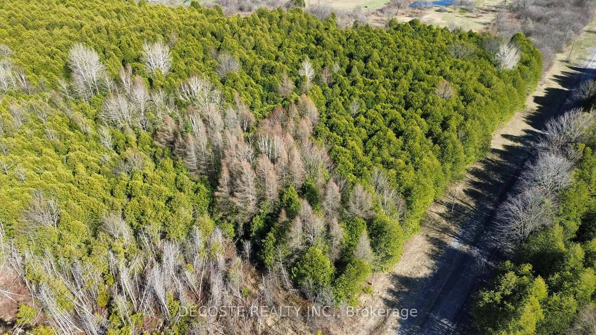 Photo 12 of Auld McMillan Road, North Glengarry, North Glengarry (Kenyon) Twp — HOMEH