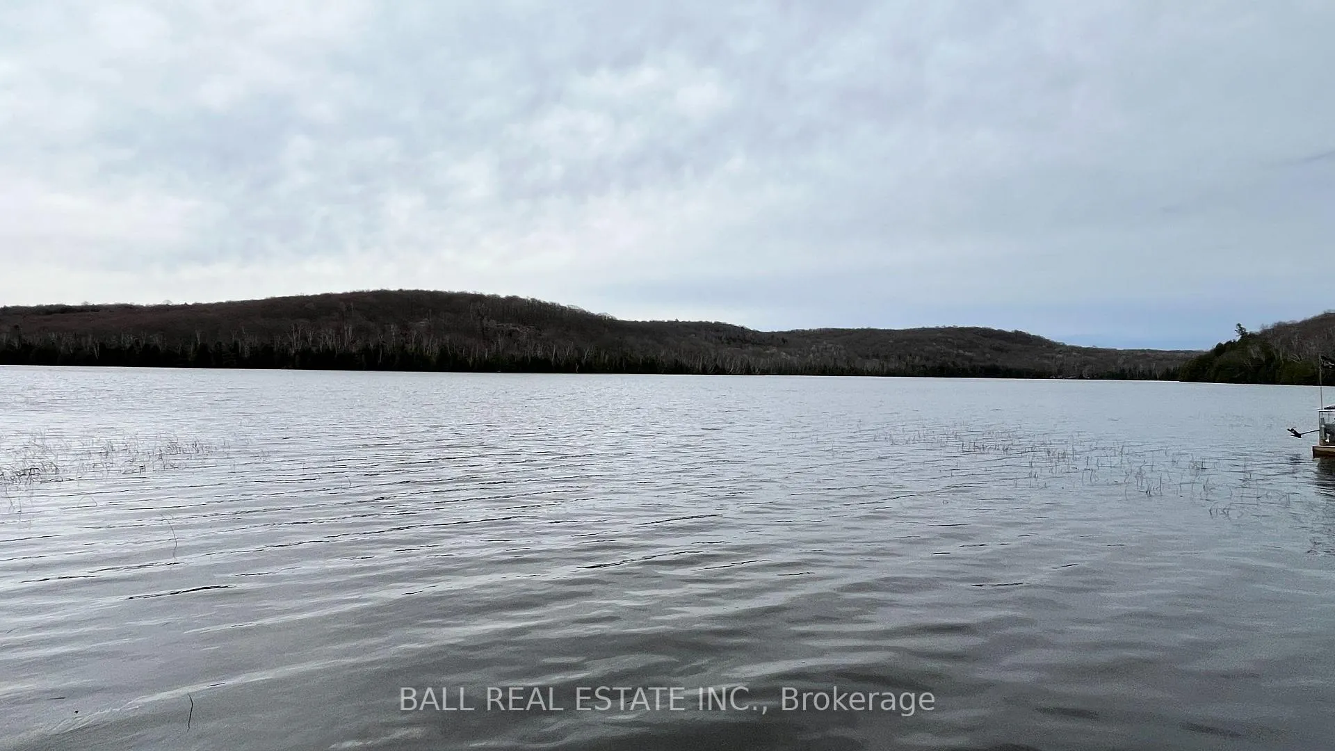 Photo 6 of 294 Albion Lake Drive, Faraday — HOMEH