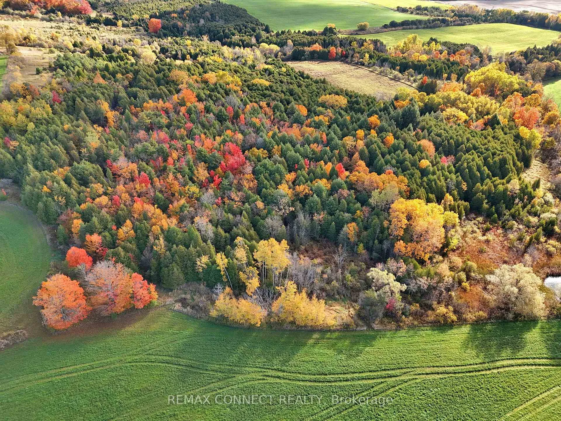 Photo 9 of 2890 Concession 7 Road, Clarington, Rural Clarington — HOMEH