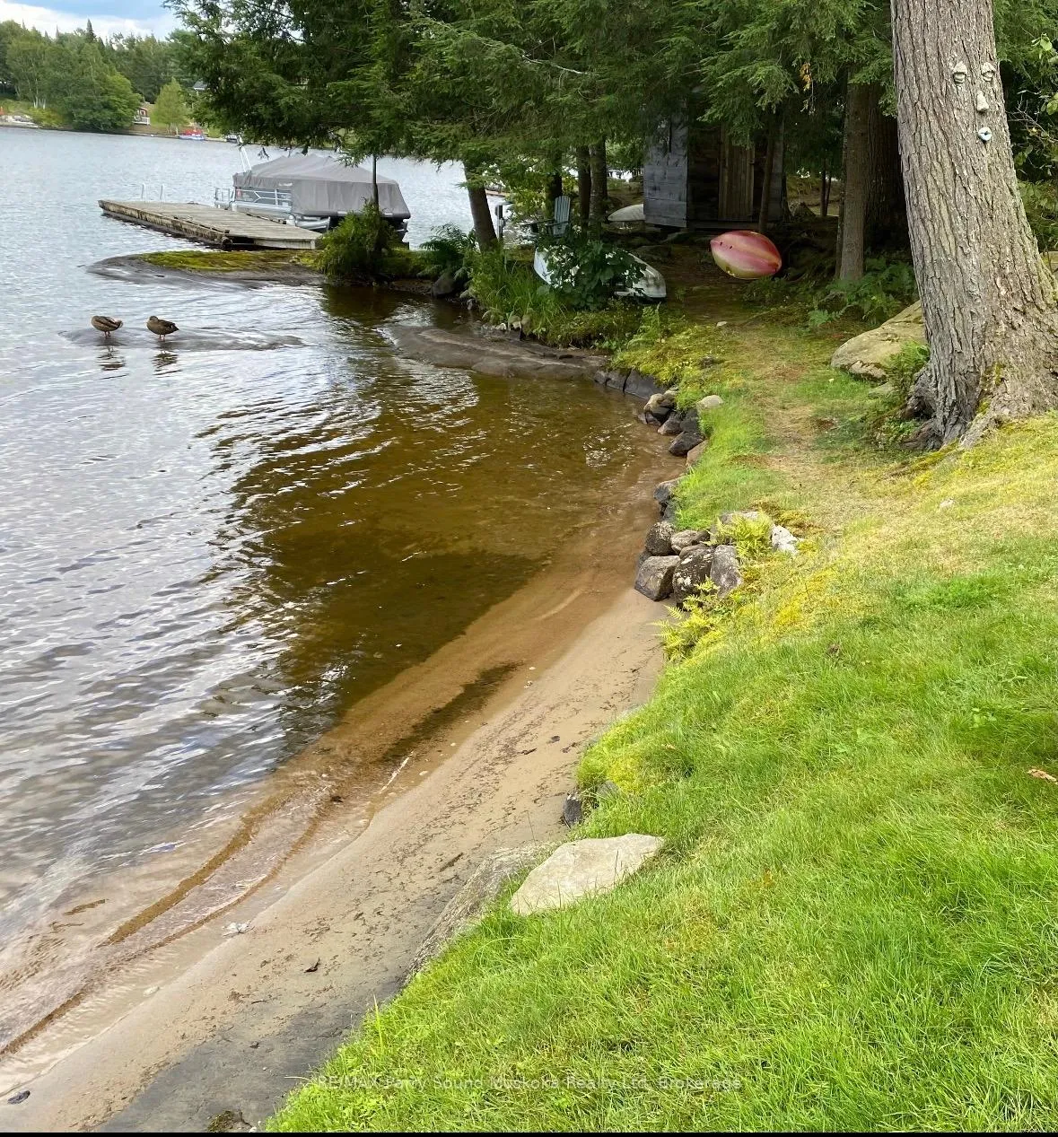 Photo 5 of 67 Sunnyshore Park Drive, McKellar — HOMEH