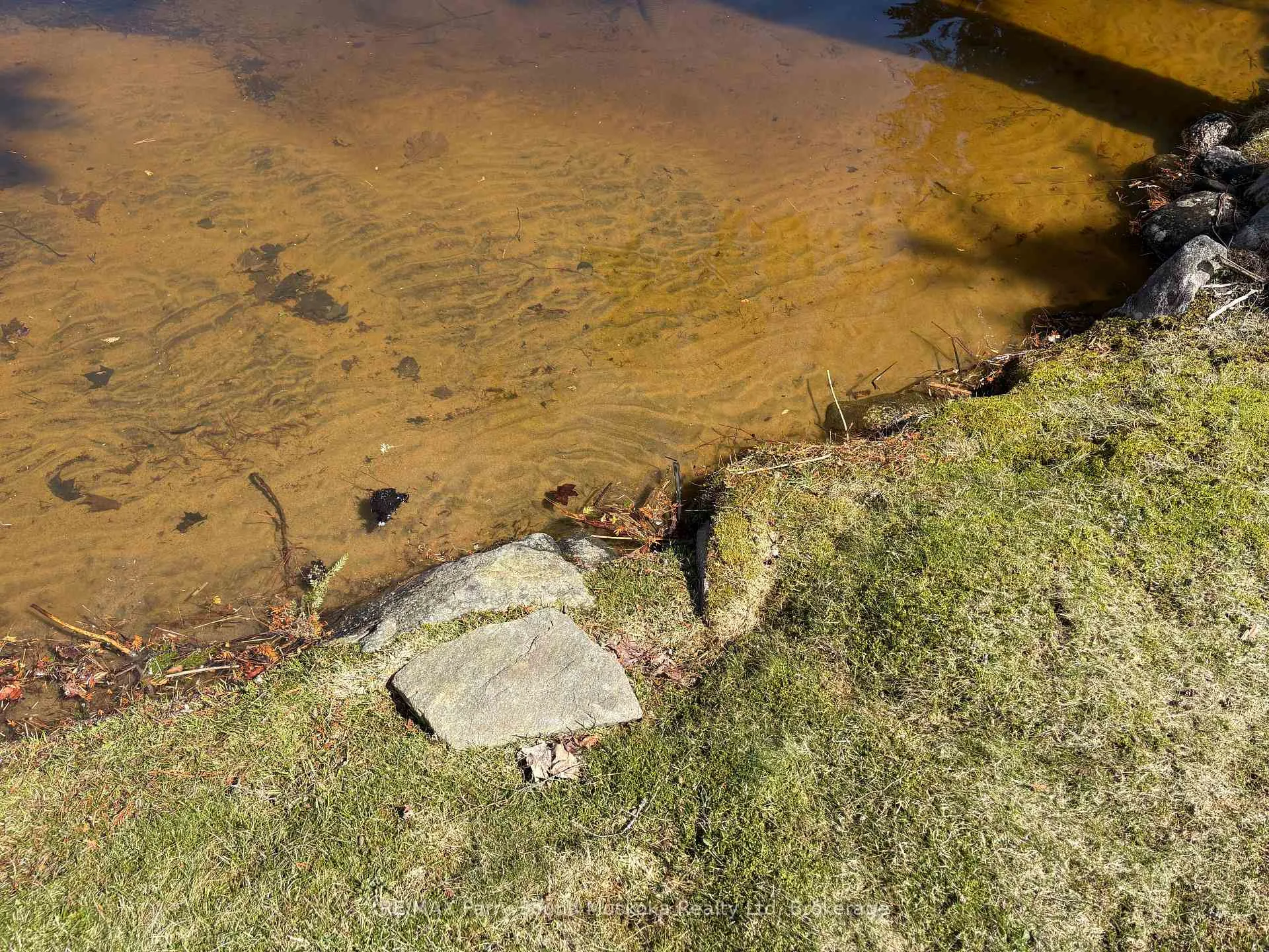 Photo 37 of 67 Sunnyshore Park Drive, McKellar — HOMEH