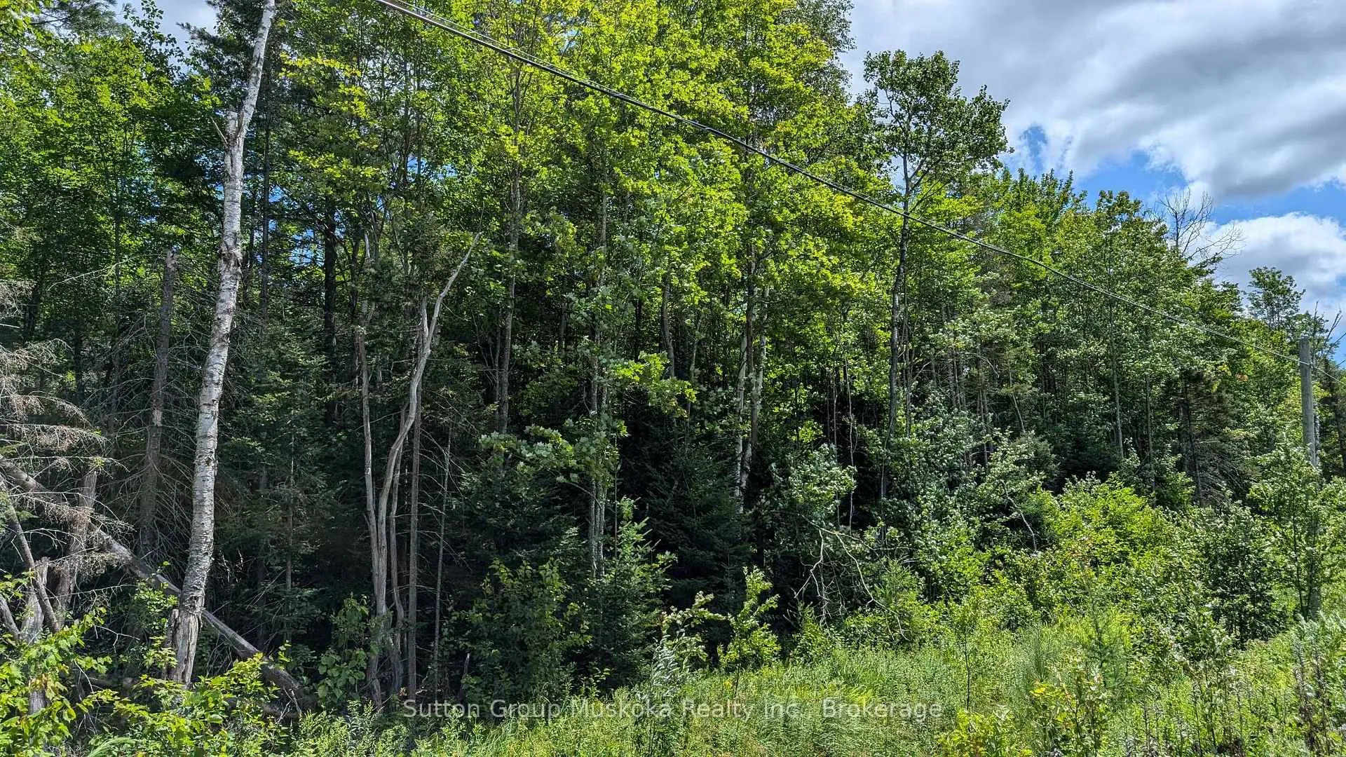 Photo 4 of Part 2 Berriedale Road, Armour — HOMEH