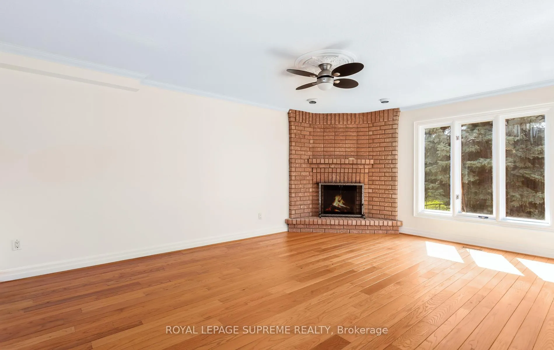 Photo 9 of 31 Donalbert Road, Etobicoke, Islington-City Centre West — HOMEH
