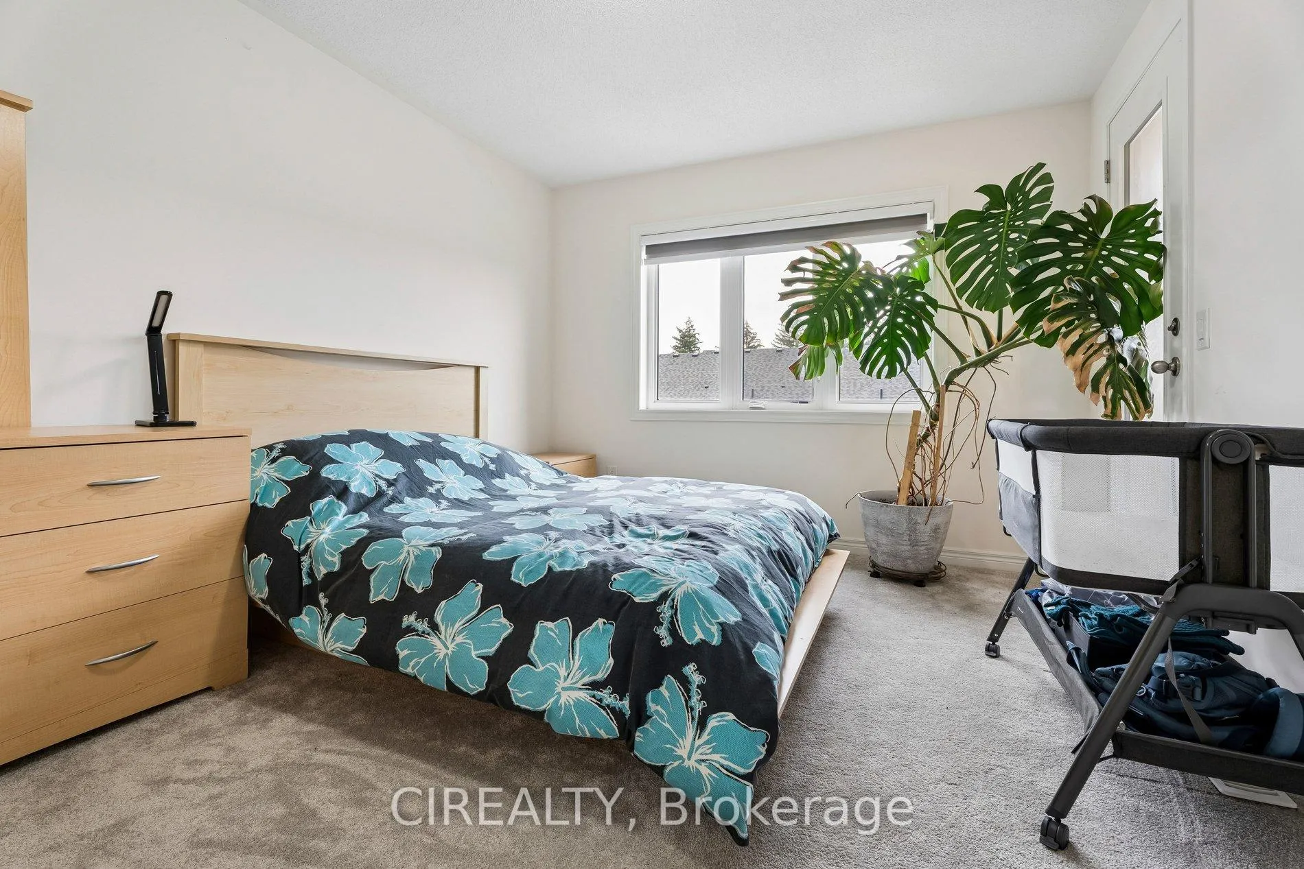 Photo 38 of 357 Raymond Road, Hamilton, Meadowlands — HOMEH
