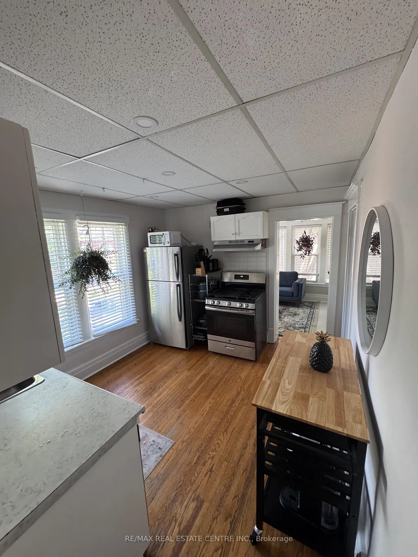 Photo 10 of 120 Herkimer Street, Hamilton, Durand — HOMEH