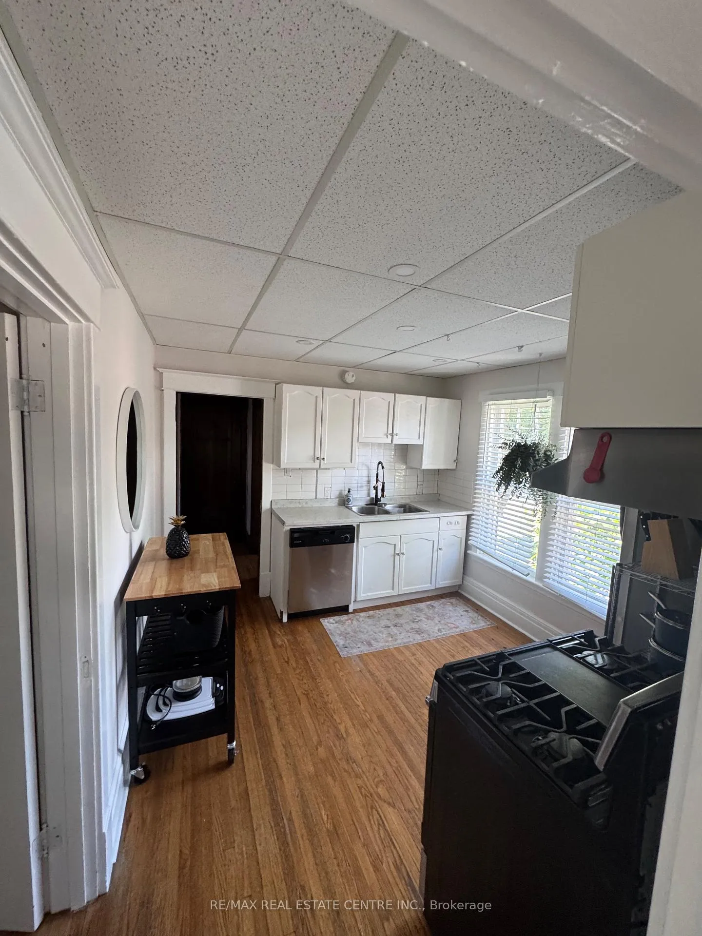 Photo 11 of 120 Herkimer Street, Hamilton, Durand — HOMEH