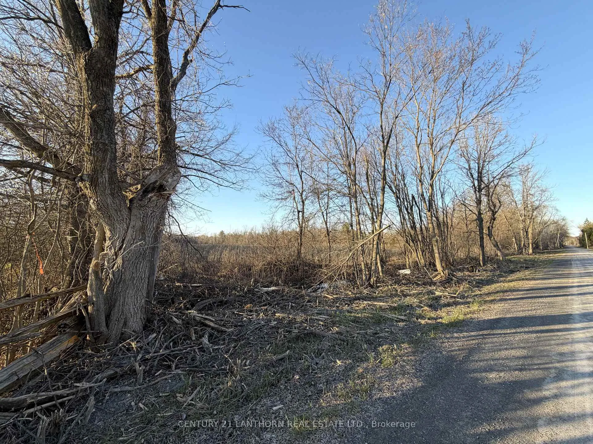 Photo 4 of Reid Settlement Road, Centre Hastings — HOMEH