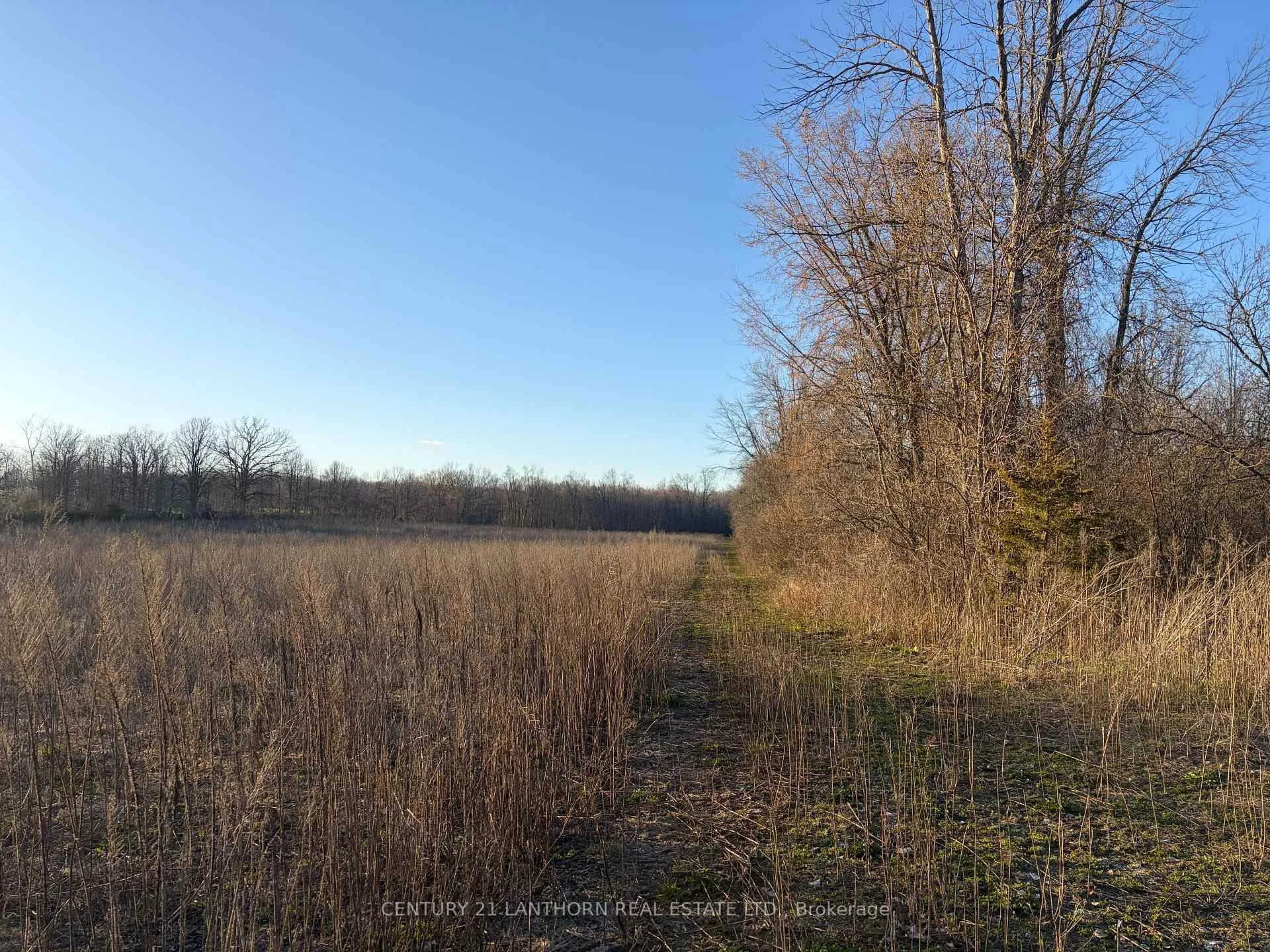 Photo 7 of Reid Settlement Road, Centre Hastings — HOMEH