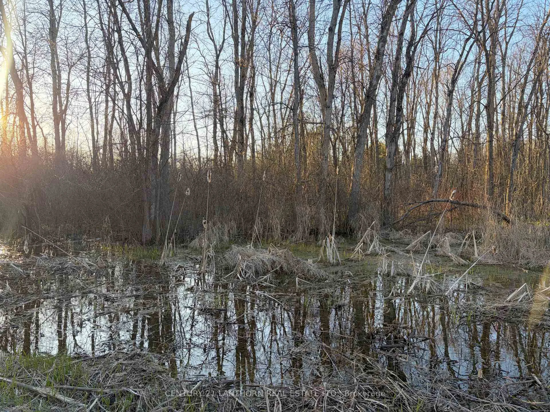 Photo 12 of Reid Settlement Road, Centre Hastings — HOMEH