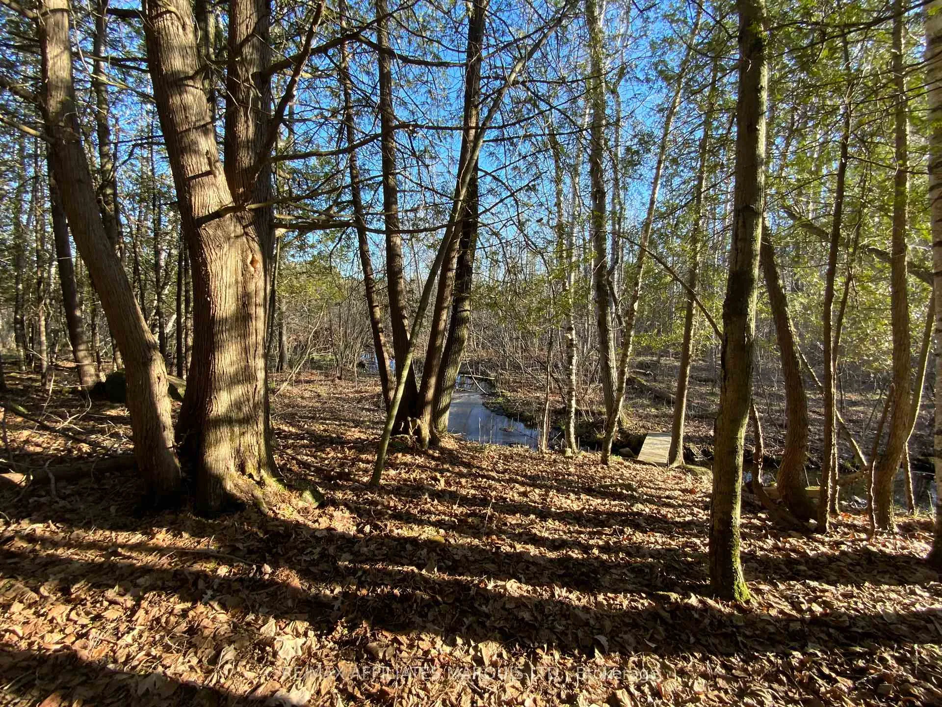 Photo 38 of 19168 Kenyon Conc 1 Road, North Glengarry, North Glengarry (Kenyon) Twp — HOMEH