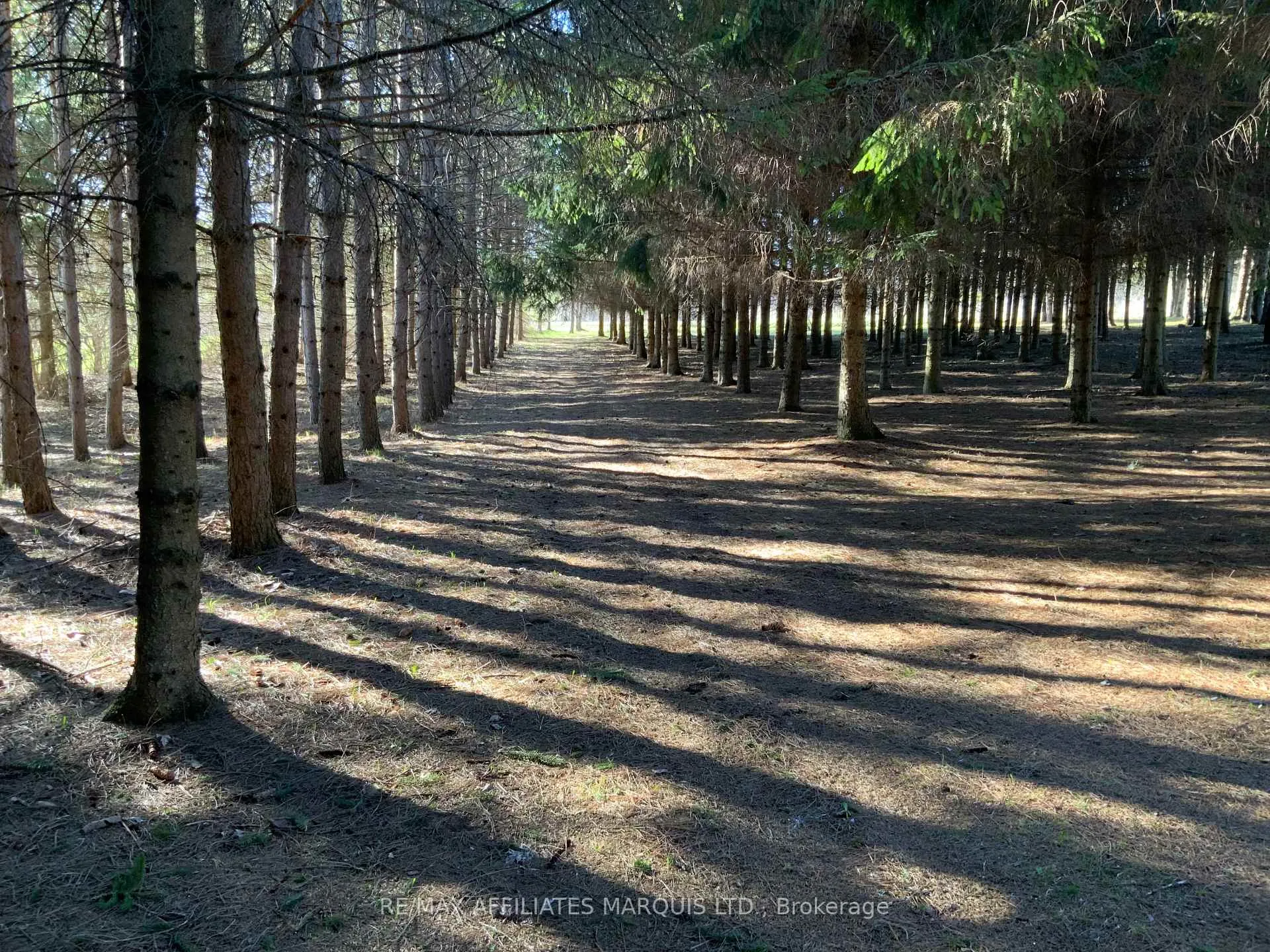 Photo 39 of 19168 Kenyon Conc 1 Road, North Glengarry, North Glengarry (Kenyon) Twp — HOMEH
