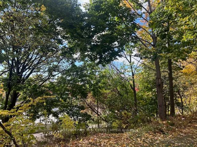 Photo 26 of Unit Main, 662 Broadview Avenue, Toronto, North Riverdale — HOMEH