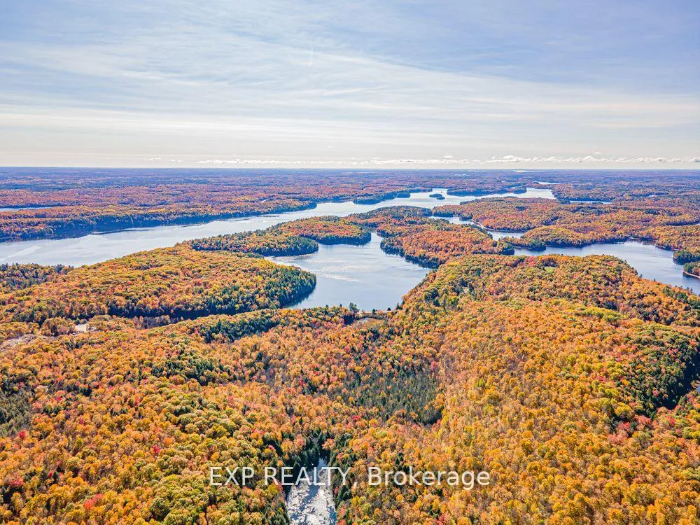 Photo 4 of 3349 Deep Bay Road, Minden Hills, Lutterworth — HOMEH