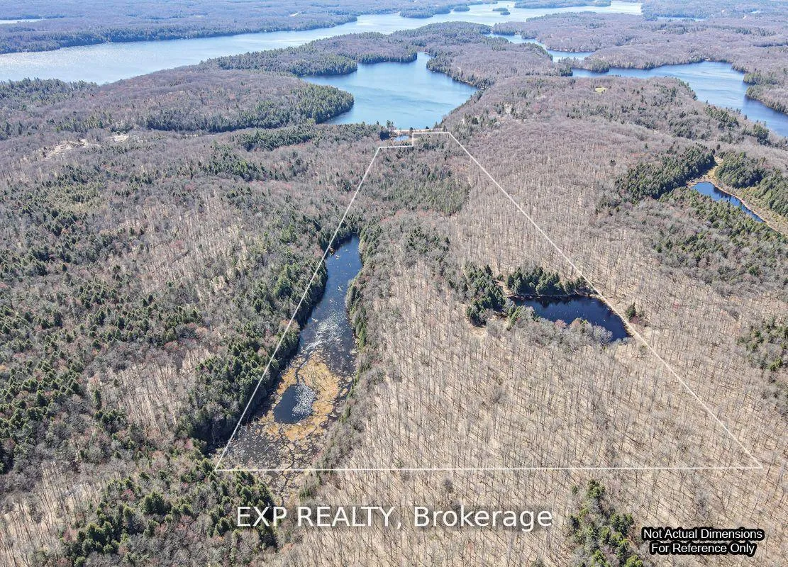 Photo 7 of 3349 Deep Bay Road, Minden Hills, Lutterworth — HOMEH