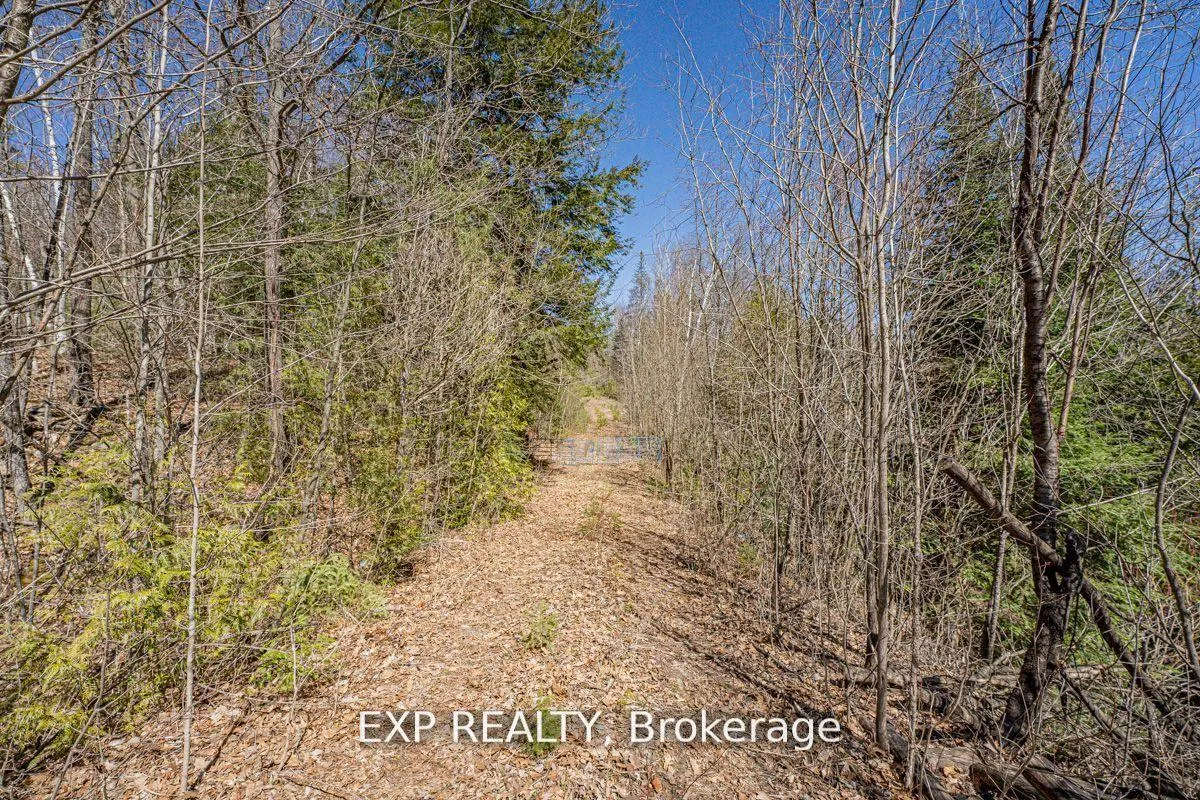 Photo 13 of 3349 Deep Bay Road, Minden Hills, Lutterworth — HOMEH