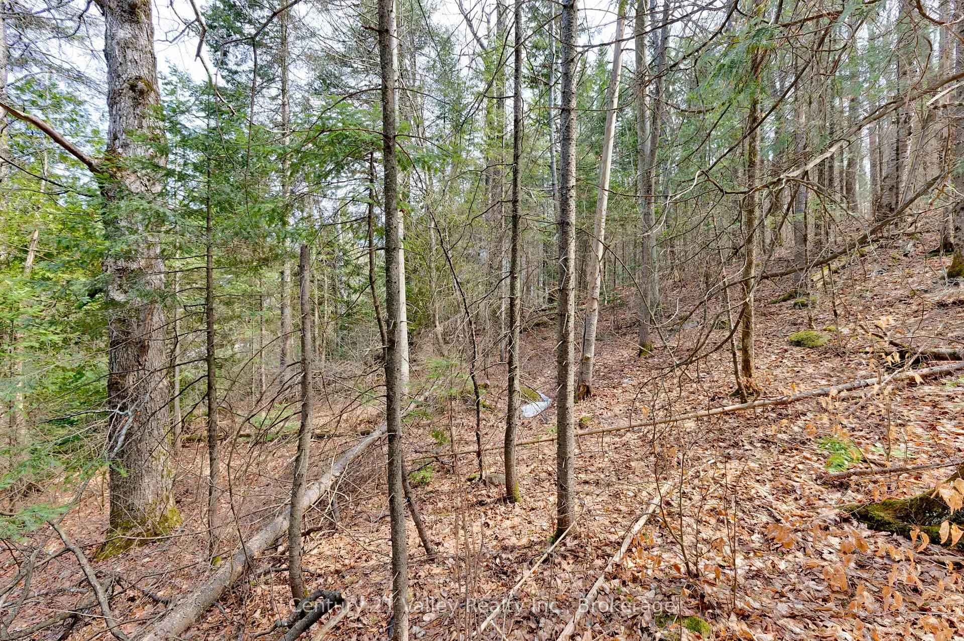 Photo 4 of Lot 2 Foymount Road, Bonnechere Valley, Eganville/Bonnechere Twp — HOMEH