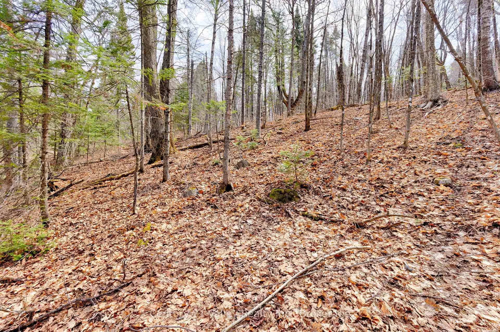 Photo 6 of Lot 2 Foymount Road, Bonnechere Valley, Eganville/Bonnechere Twp — HOMEH