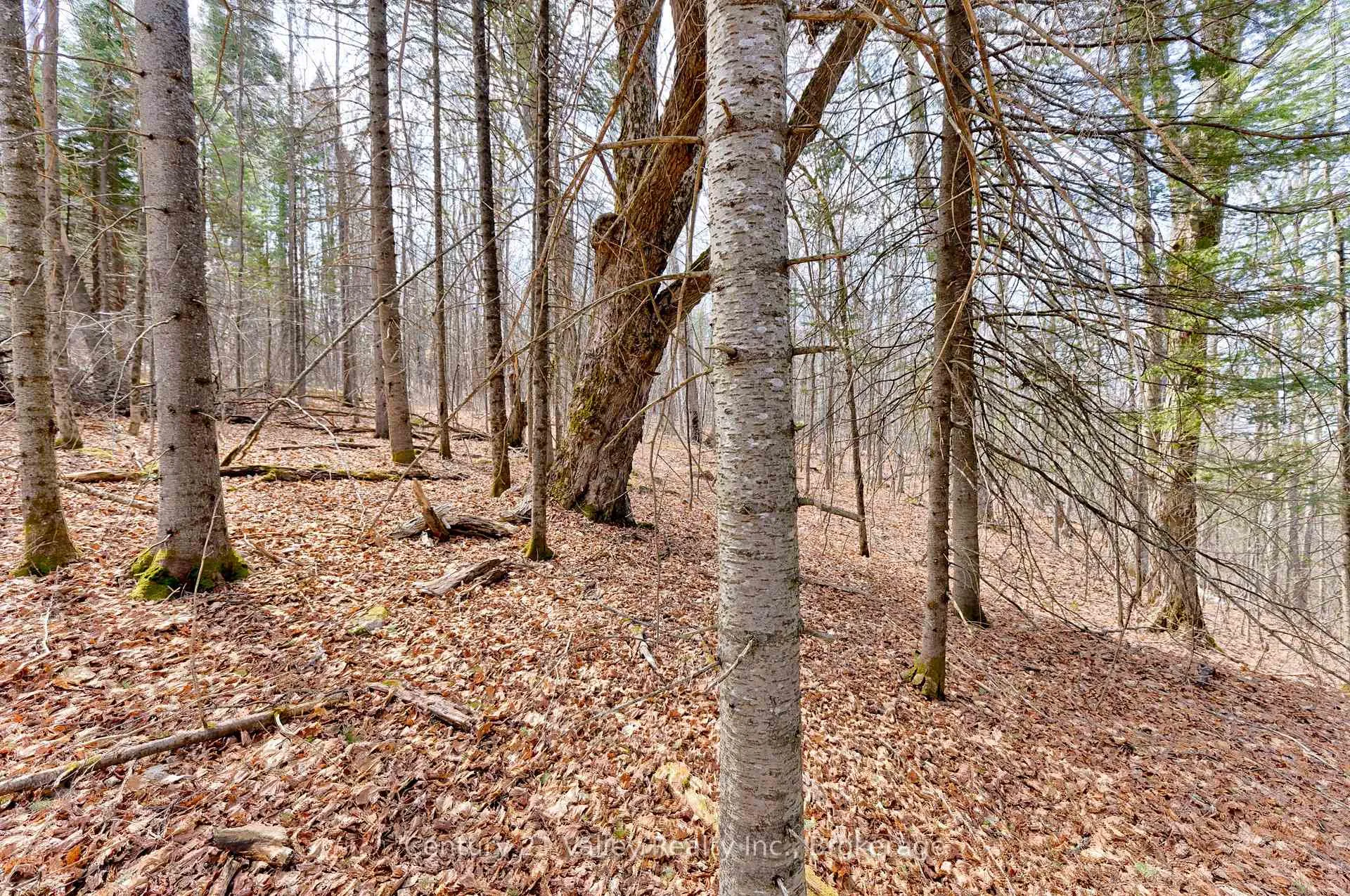 Photo 7 of Lot 2 Foymount Road, Bonnechere Valley, Eganville/Bonnechere Twp — HOMEH