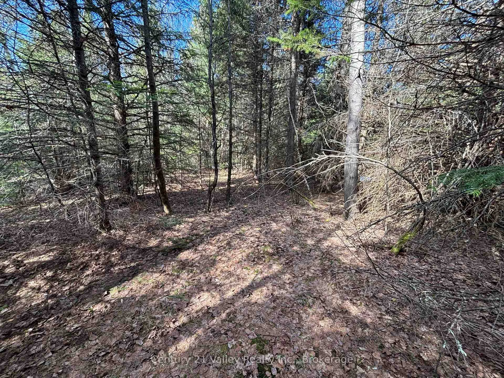Photo 8 of Lot 2 Foymount Road, Bonnechere Valley, Eganville/Bonnechere Twp — HOMEH