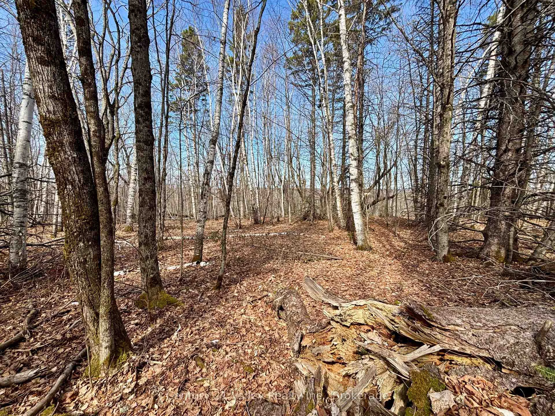 Photo 10 of Lot 2 Foymount Road, Bonnechere Valley, Eganville/Bonnechere Twp — HOMEH