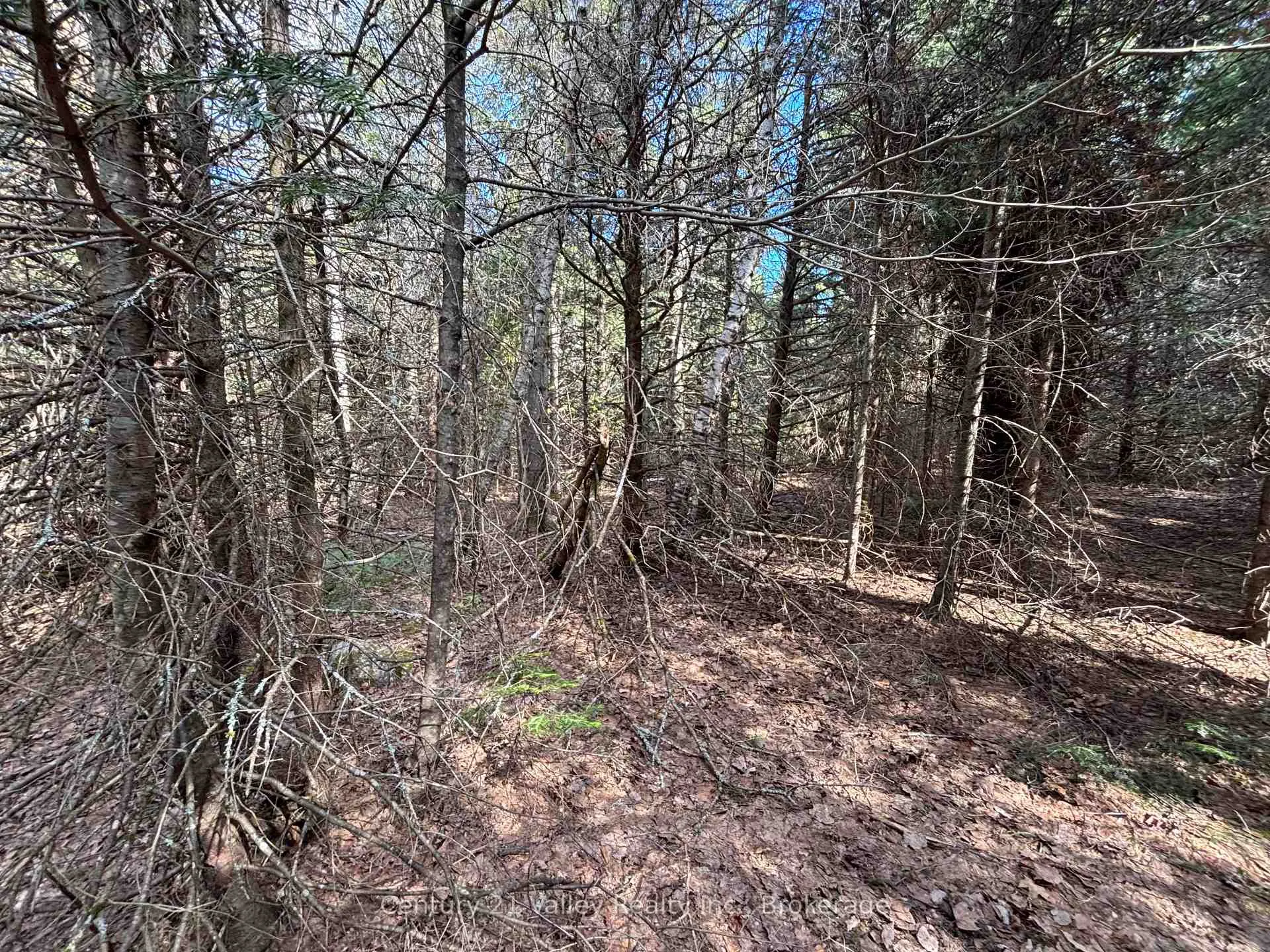 Photo 11 of Lot 2 Foymount Road, Bonnechere Valley, Eganville/Bonnechere Twp — HOMEH
