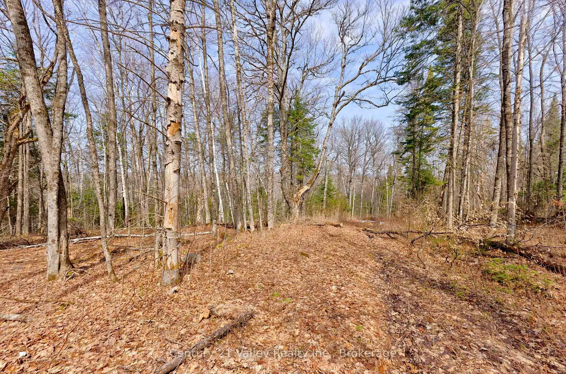 Photo 6 of Lot 3 Foymount Road, Bonnechere Valley, Eganville/Bonnechere Twp — HOMEH