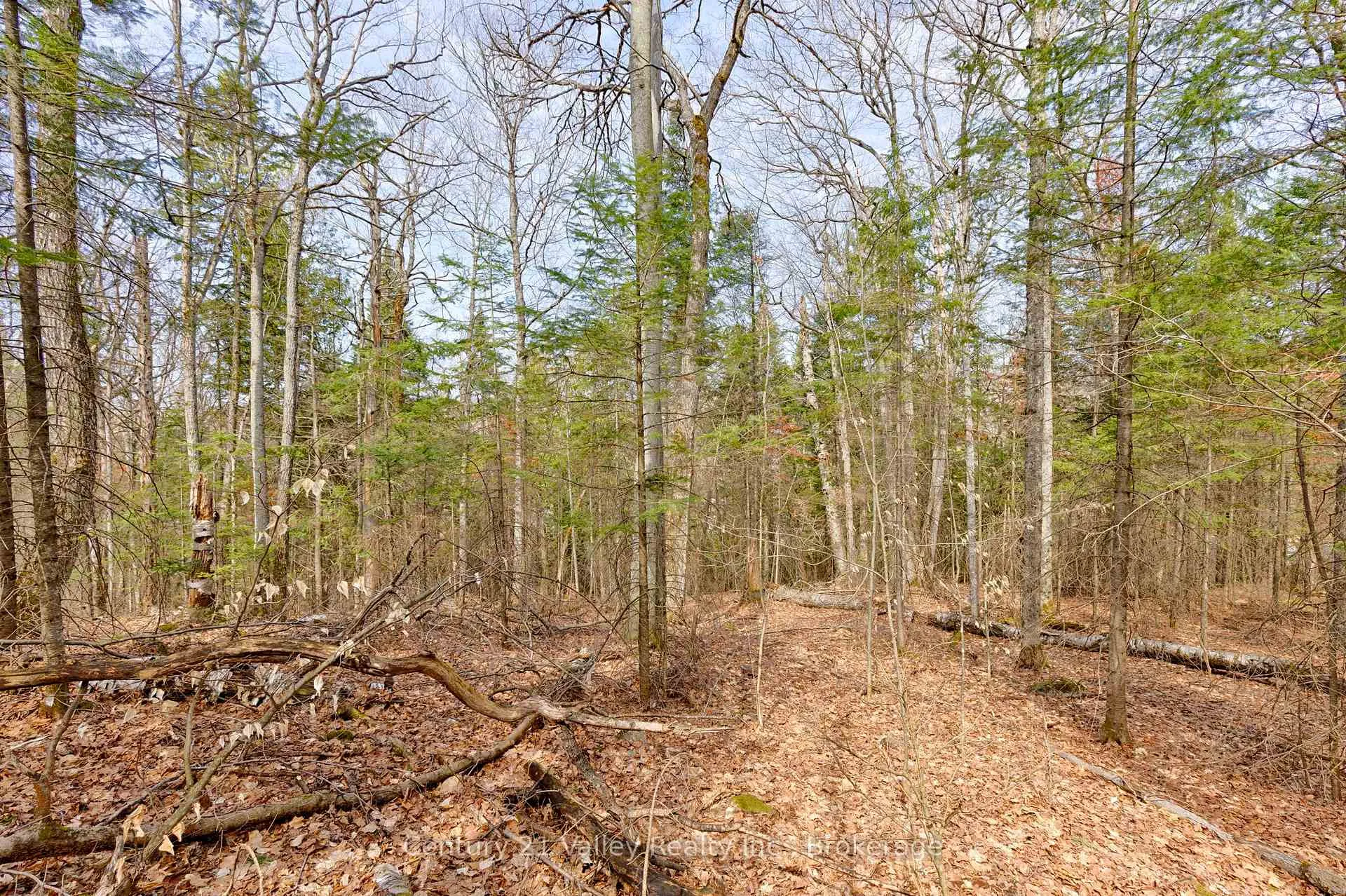 Photo 7 of Lot 3 Foymount Road, Bonnechere Valley, Eganville/Bonnechere Twp — HOMEH