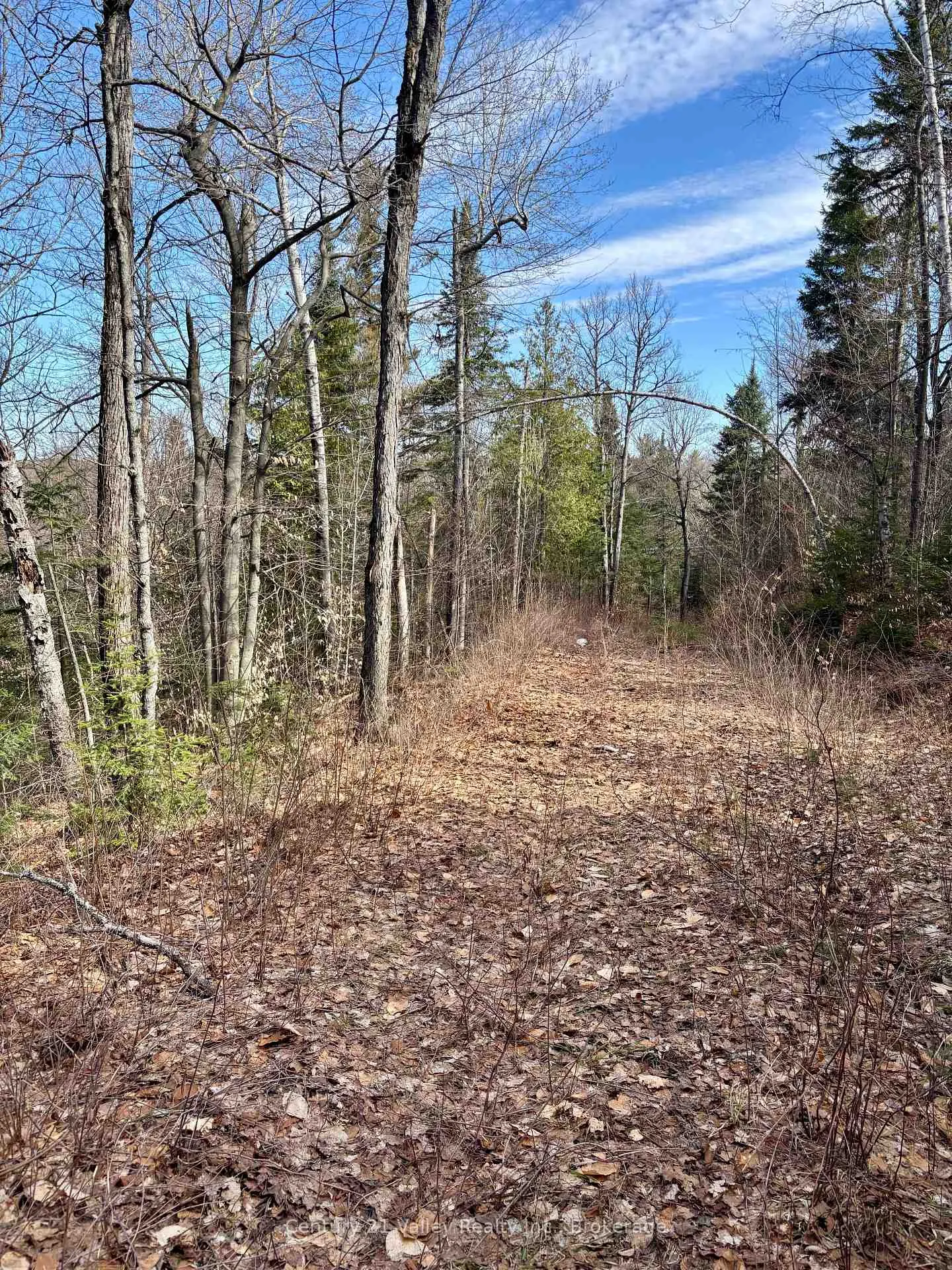 Photo 8 of Lot 3 Foymount Road, Bonnechere Valley, Eganville/Bonnechere Twp — HOMEH