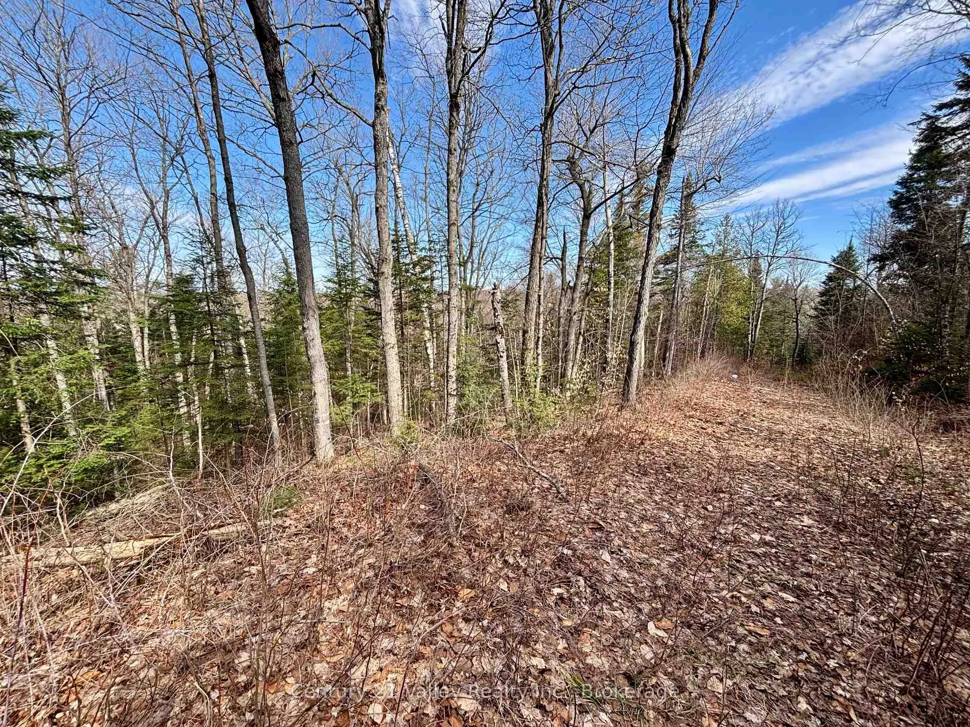 Photo 9 of Lot 3 Foymount Road, Bonnechere Valley, Eganville/Bonnechere Twp — HOMEH