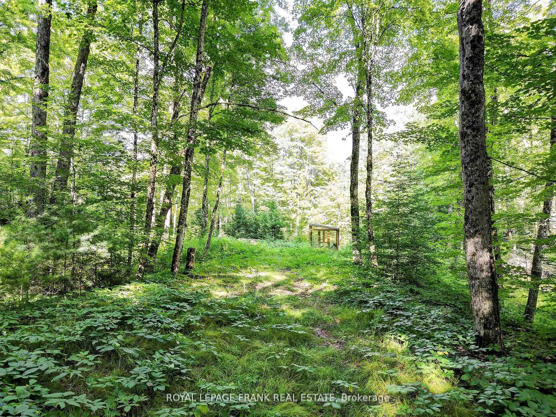 Photo 5 of 843 Lasswade Road, North Kawartha — HOMEH