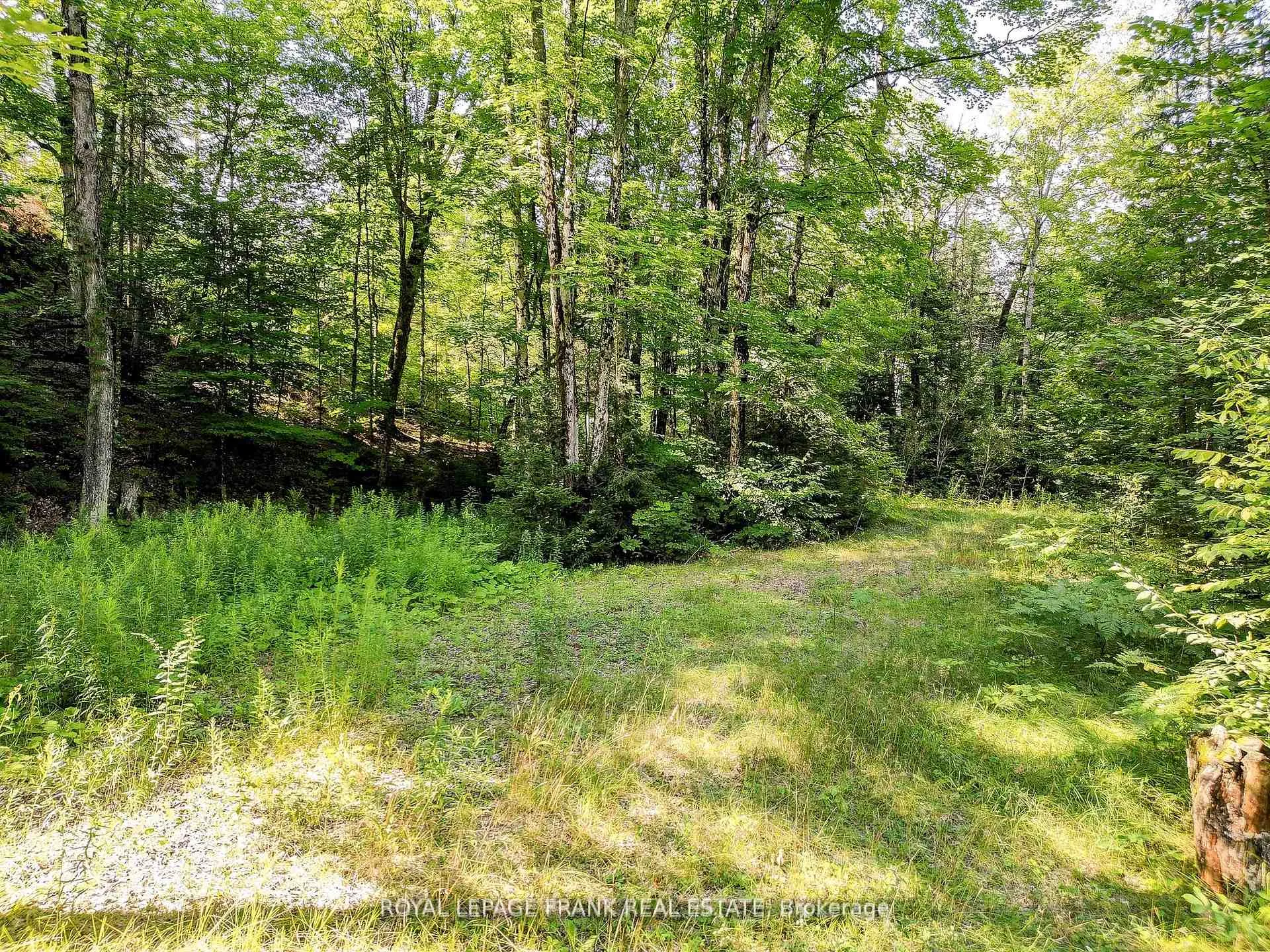 Photo 8 of 843 Lasswade Road, North Kawartha — HOMEH