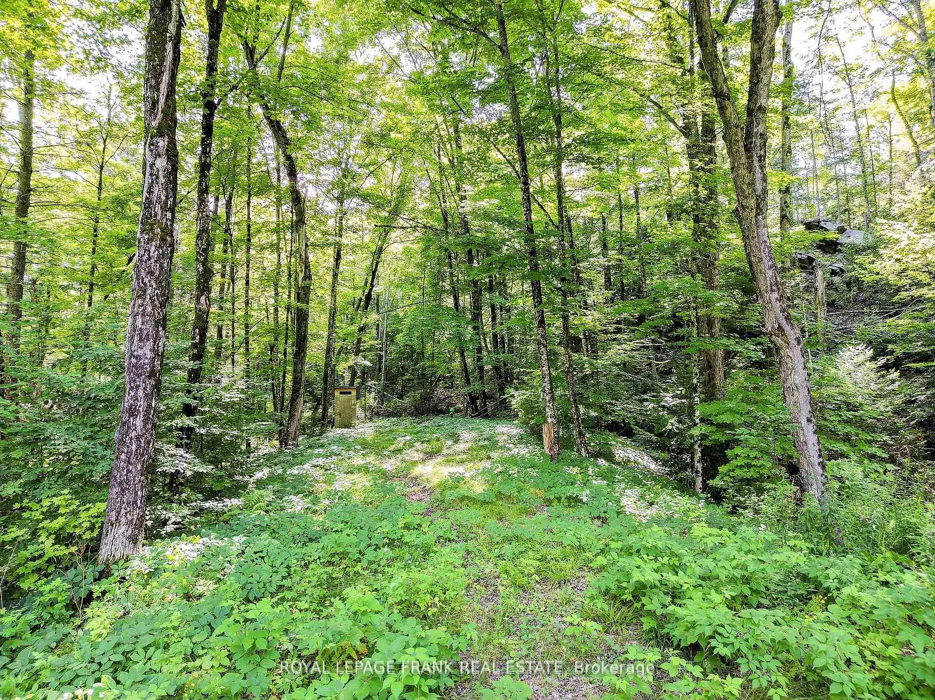 Photo 10 of 843 Lasswade Road, North Kawartha — HOMEH