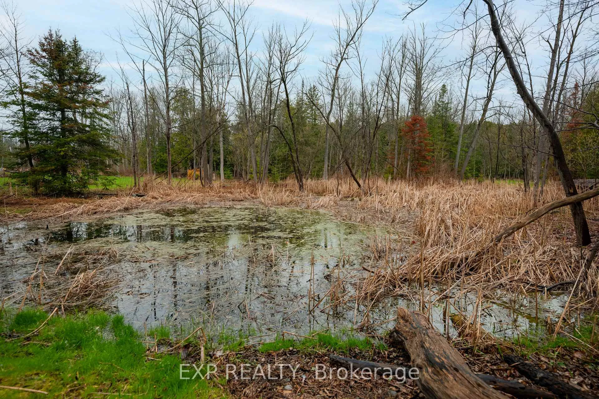 Photo 22 of 9254 County 1, Adjala-Tosorontio, Hockley — HOMEH