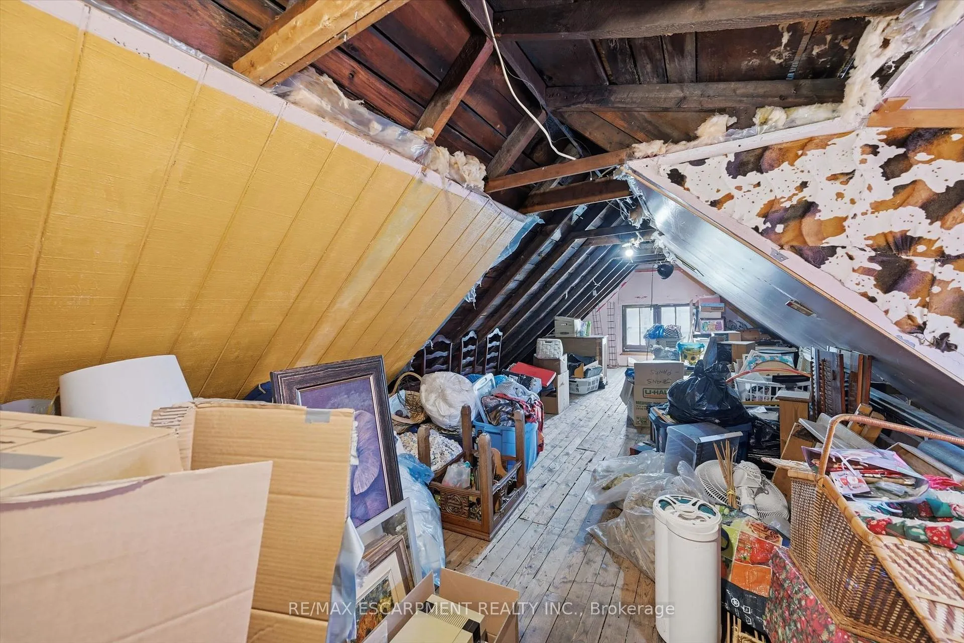 Photo 25 of 260 Balmoral Avenue, Hamilton, Crown Point — HOMEH