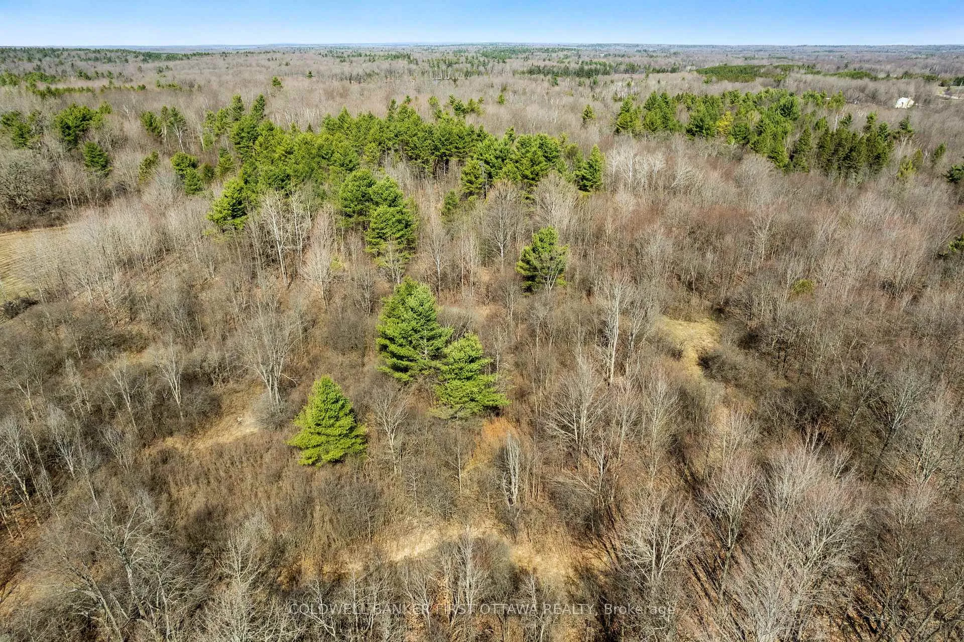 Photo 37 of 786 Bathurst 9th Common, Tay Valley, Bathurst/Burgess & Sherbrooke (Bathurst) Twp — HOMEH