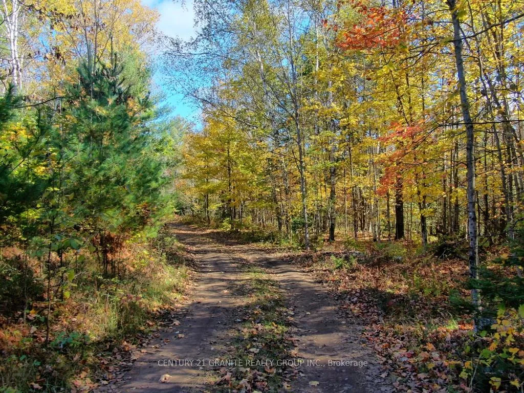 Photo 10 of 26457 Hwy 62, Bancroft, Dungannon Ward — HOMEH