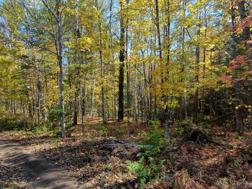 Photo 11 of 26457 Hwy 62, Bancroft, Dungannon Ward — HOMEH