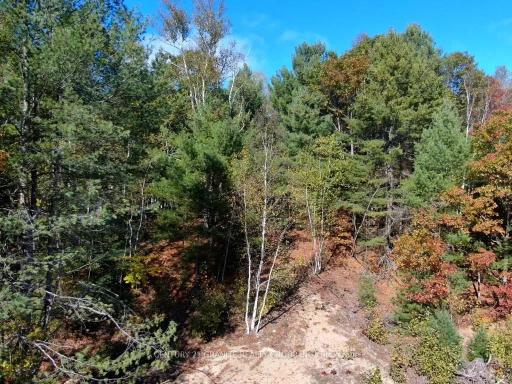 Photo 13 of 26457 Hwy 62, Bancroft, Dungannon Ward — HOMEH