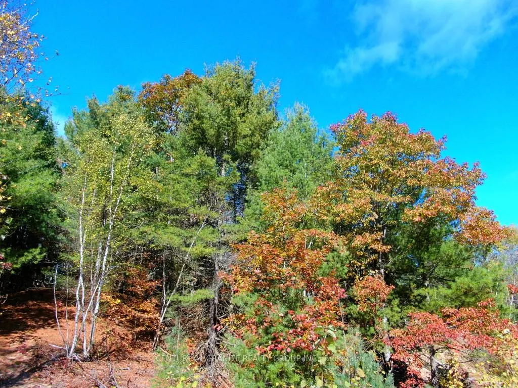 Photo 25 of 26457 Hwy 62, Bancroft, Dungannon Ward — HOMEH