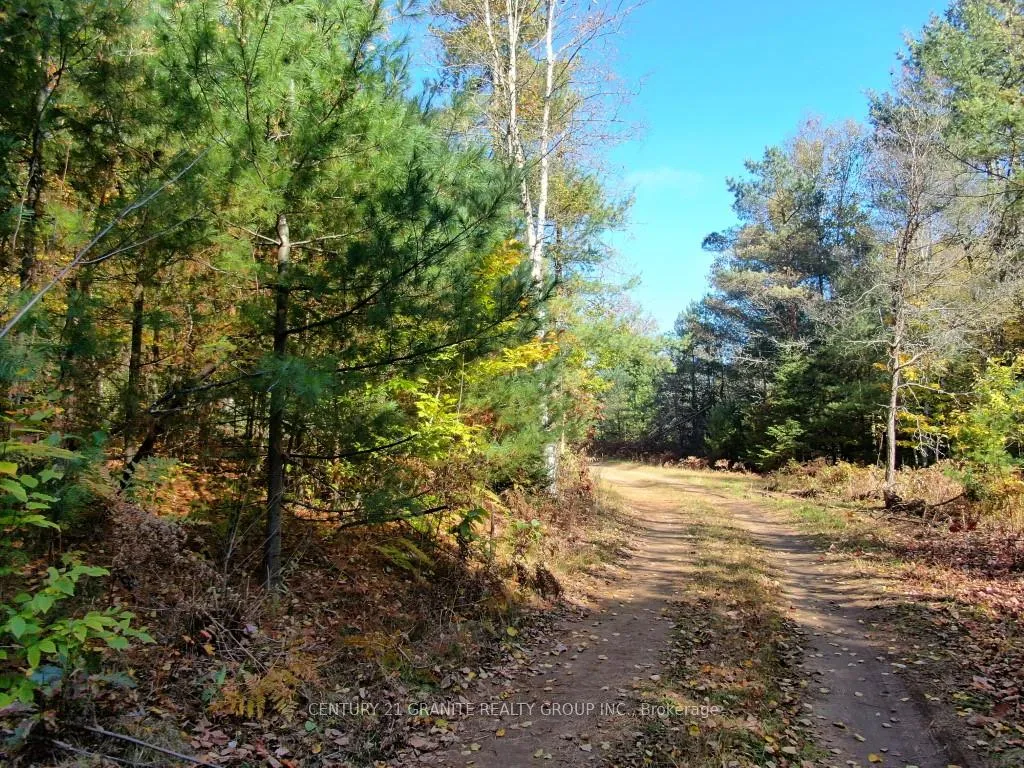 Photo 26 of 26457 Hwy 62, Bancroft, Dungannon Ward — HOMEH