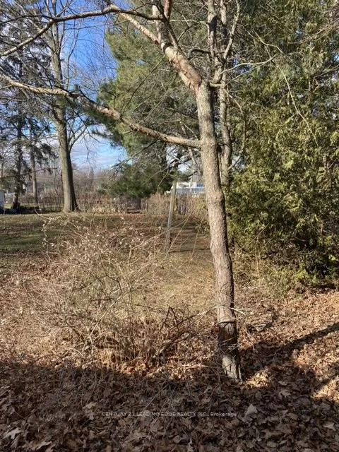 Photo 8 of 60 Pine Ridge Drive, Scarborough, Cliffcrest — HOMEH
