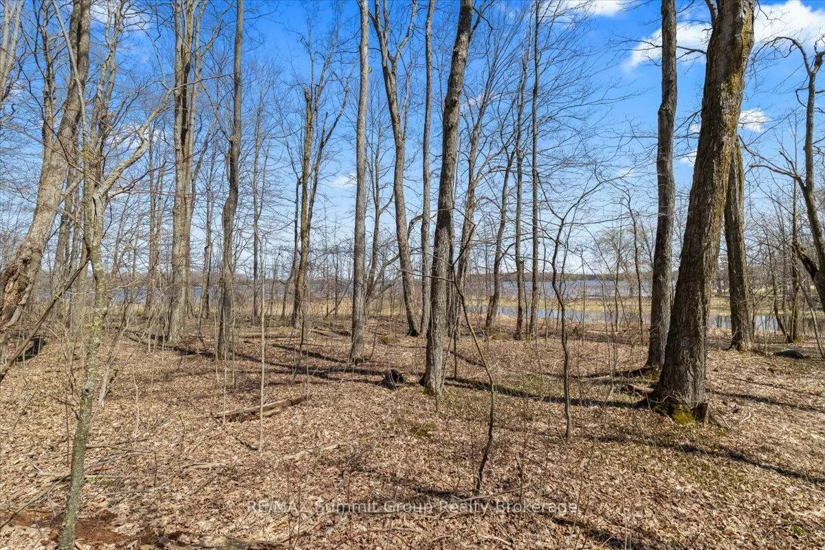 Photo 3 of 247 Canrobert Street, Grey Highlands — HOMEH
