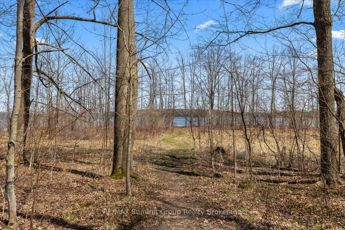 Photo 6 of 247 Canrobert Street, Grey Highlands — HOMEH