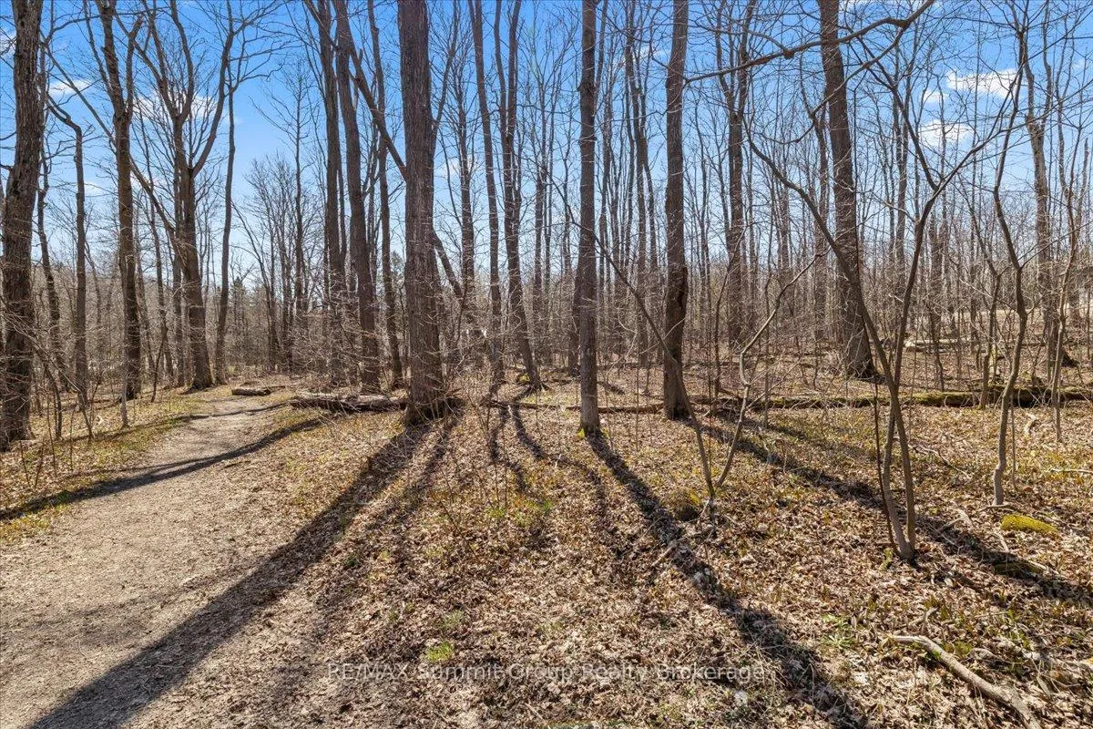 Photo 13 of 247 Canrobert Street, Grey Highlands — HOMEH