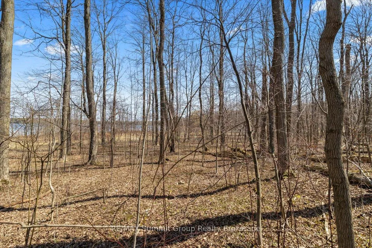 Photo 14 of 247 Canrobert Street, Grey Highlands — HOMEH
