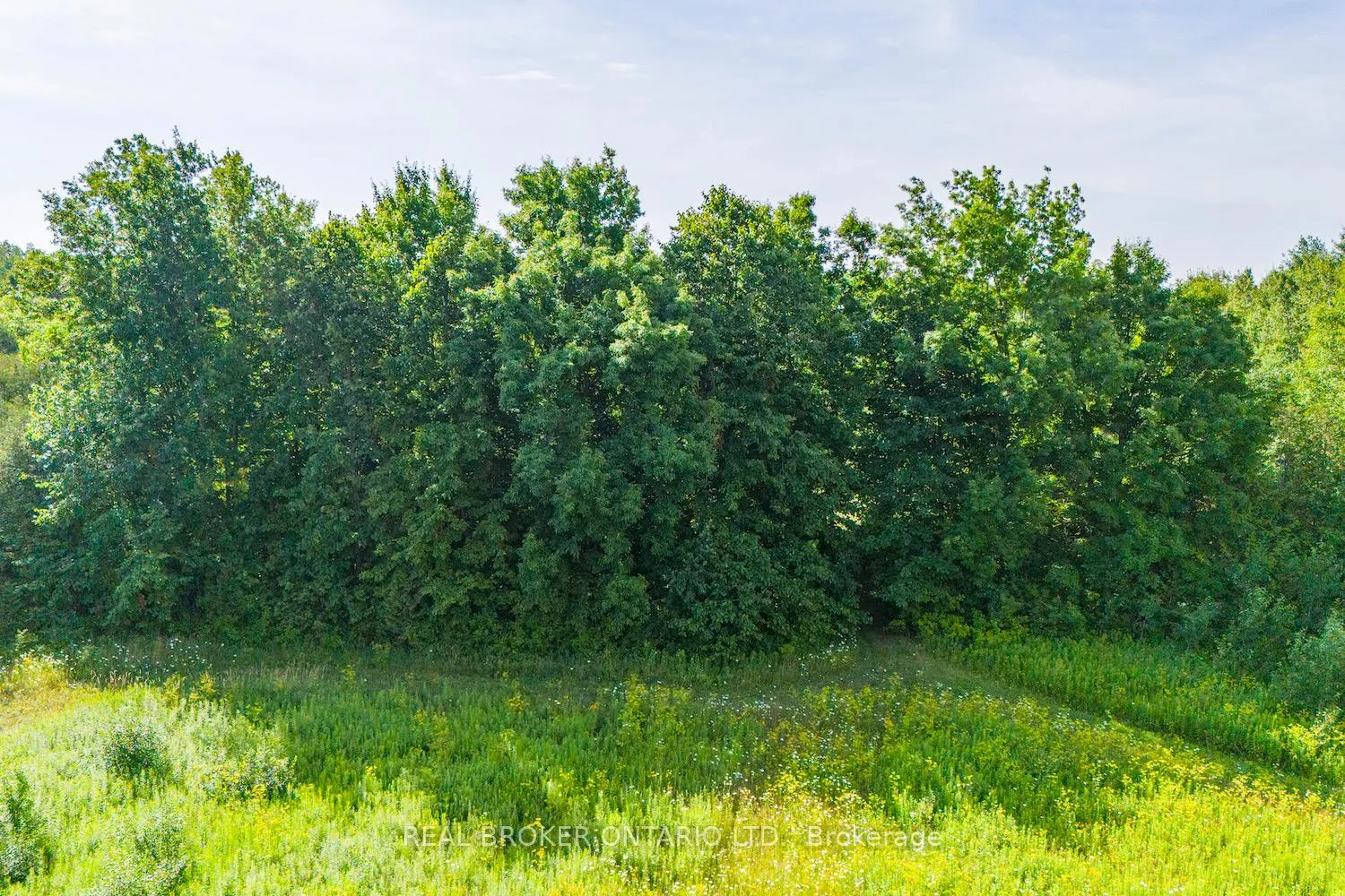 Photo 23 of Lot 2 Kyle Road, Augusta, Augusta Twp — HOMEH