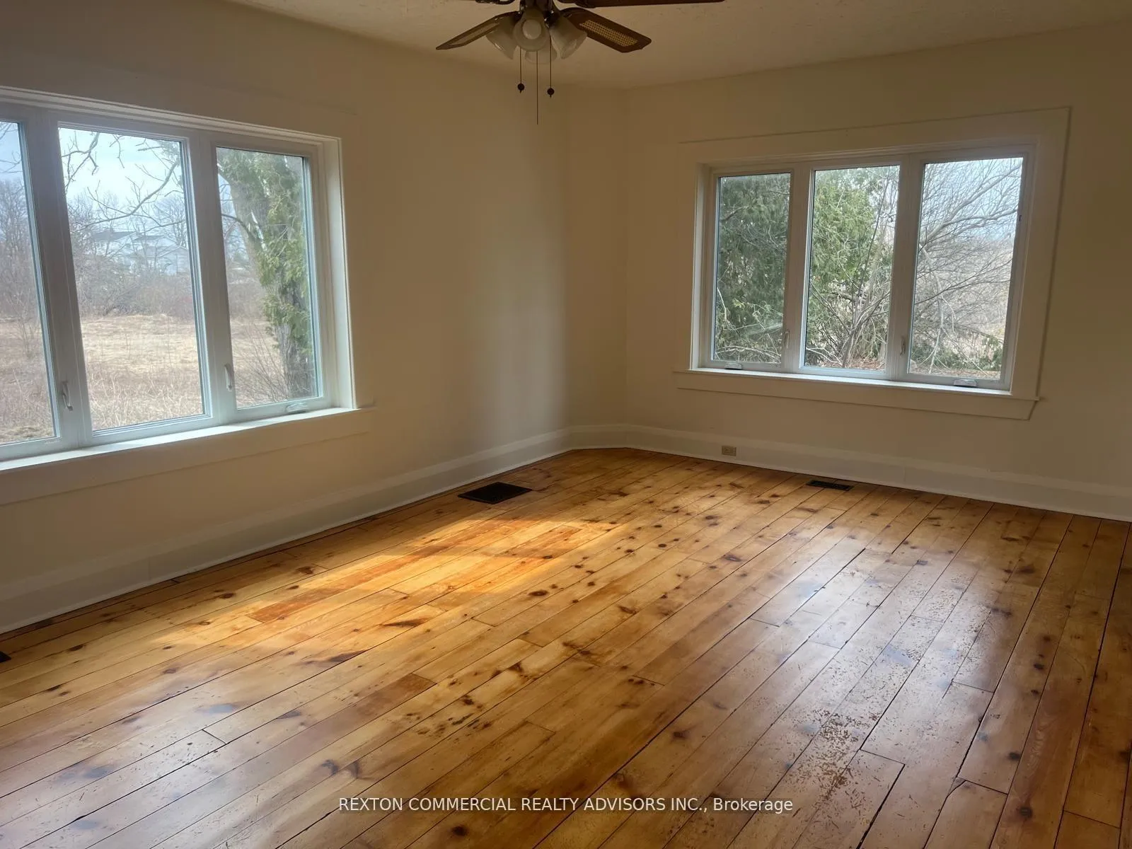 Photo 5 of 363 Lindsay Road, Selwyn — HOMEH